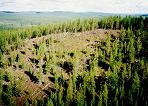 Tunguska (in the late 1990s, I believe)