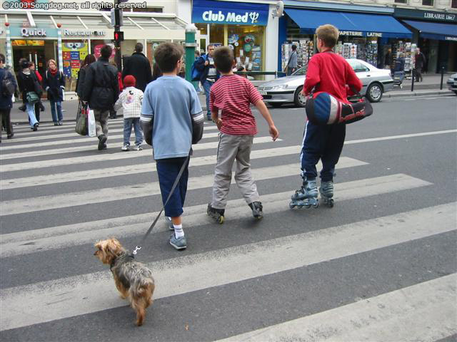 Parisian Pedestrians