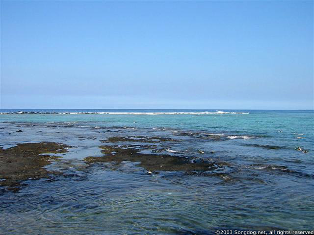 Kahaluu Tide Pools