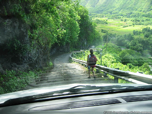 Road Into Waipi'o