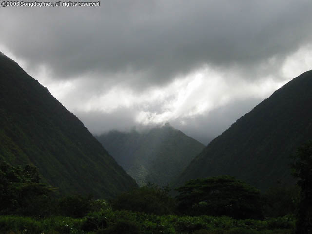 Between Waipi'o Hills